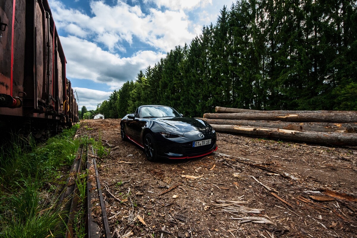 1545-e113d408-large.jpg